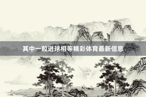 其中一粒进球相等精彩体育最新信息