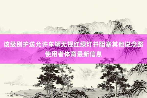 该级别护送允许车辆无视红绿灯并阻塞其他说念路使用者体育最新信息