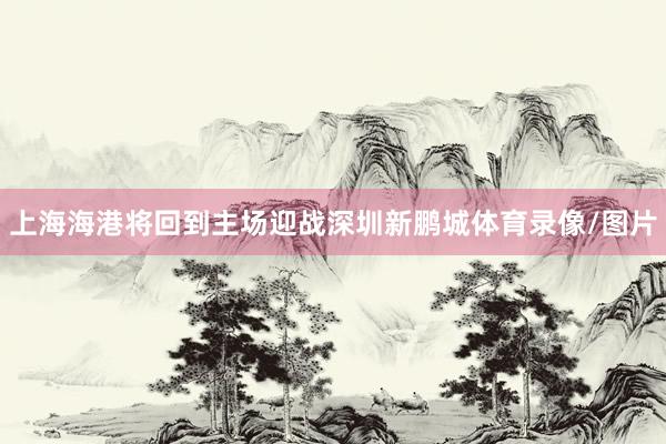 上海海港将回到主场迎战深圳新鹏城体育录像/图片