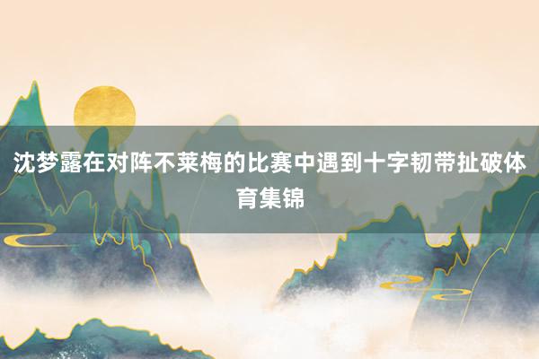 沈梦露在对阵不莱梅的比赛中遇到十字韧带扯破体育集锦
