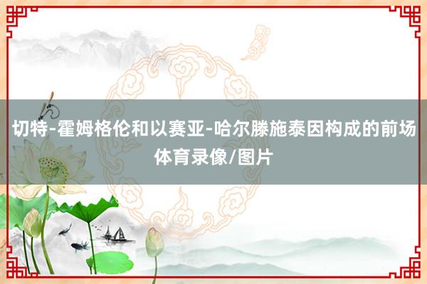 切特-霍姆格伦和以赛亚-哈尔滕施泰因构成的前场体育录像/图片