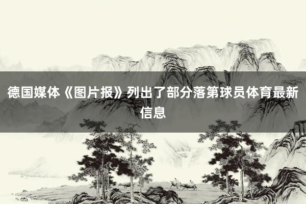 德国媒体《图片报》列出了部分落第球员体育最新信息