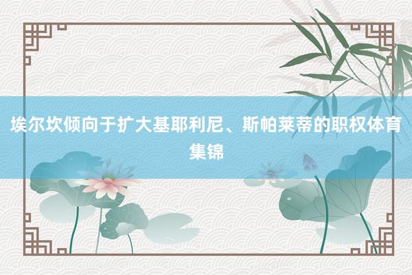 埃尔坎倾向于扩大基耶利尼、斯帕莱蒂的职权体育集锦