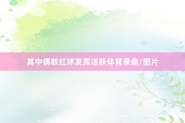 其中偶数红球发挥活跃体育录像/图片
