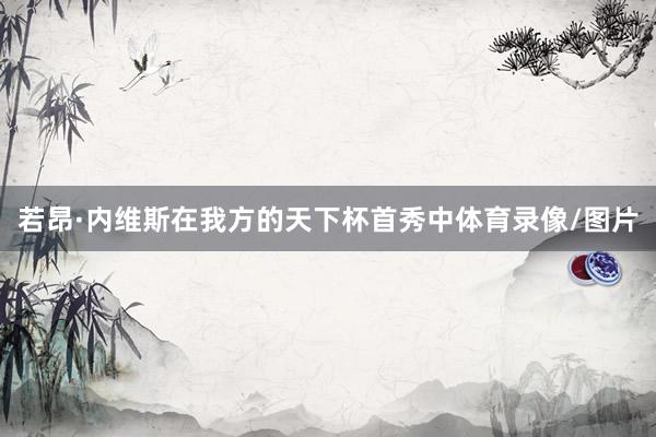 若昂·内维斯在我方的天下杯首秀中体育录像/图片